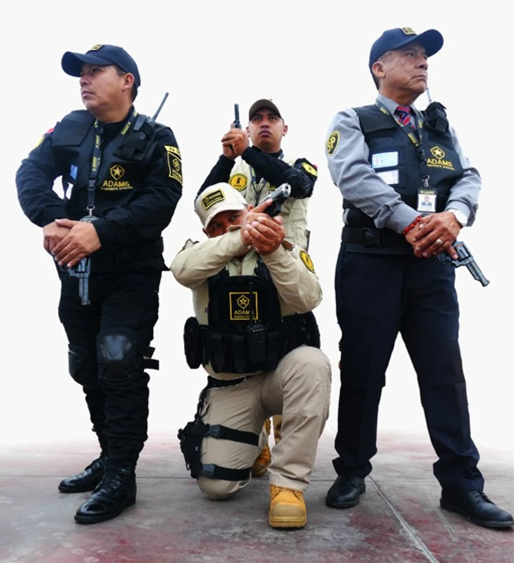 Seguridad Policial